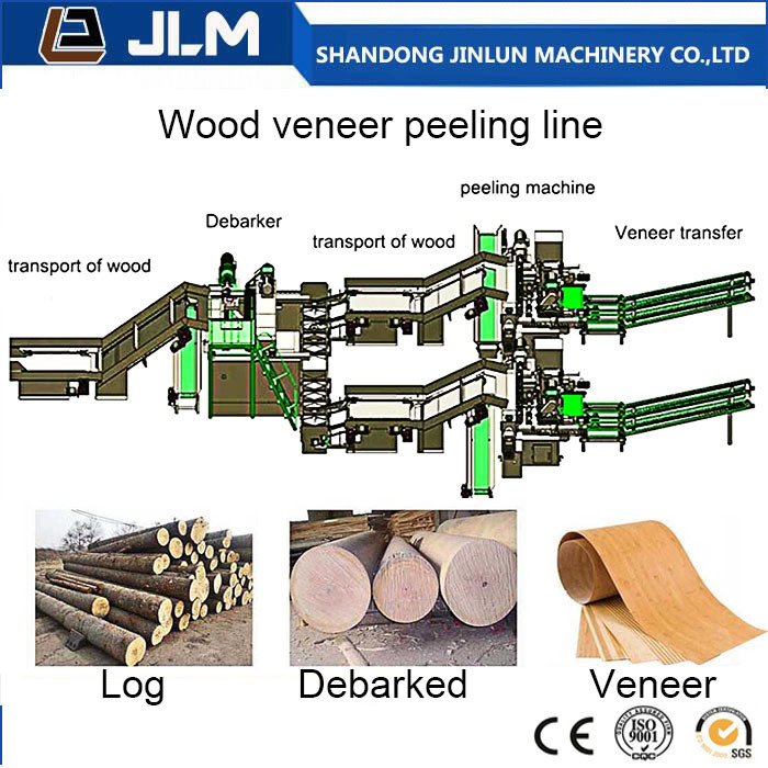 a Production Line for Plywood Sheets